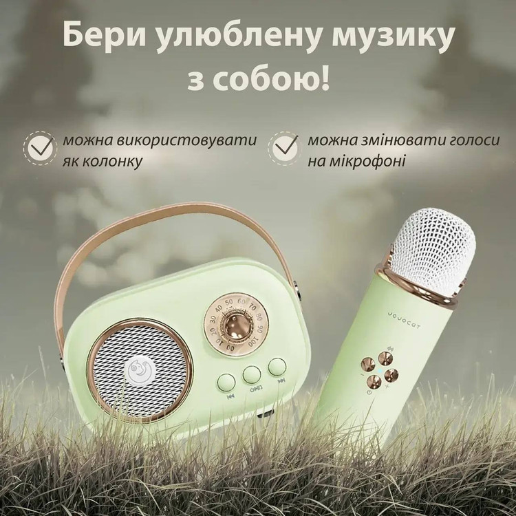 اسپیکر بلوتوثی میکروفون دار c20